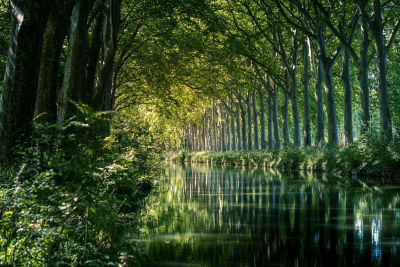 L’adaptation et l’atténuation du changement climatique 