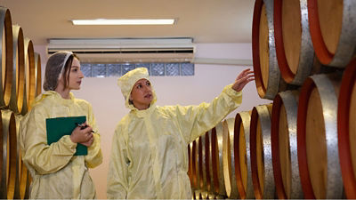 Photo d'employées dans une production de vin  